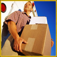 Professional Courier Services