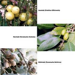 Triphala Tinctures