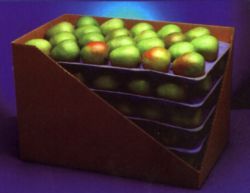 Apple Packaging Paper Tray