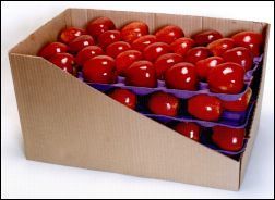 Apple Packaging Tray - Paper Material, Custom Sizes and Colors | Assured Safety for Your Consignment