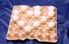 Paper White Egg Packaging Tray