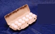 White Egg Packaging Tray cum Carton