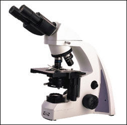 Coaxial Biological Microscope