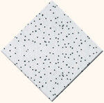Granuled Pattern Speckle Ceiling System