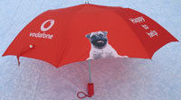 Red Promotional Designer Printed Umbrella