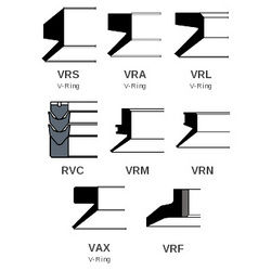 V-Rings