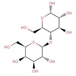 Lactose / Mono and Anhydrous