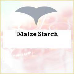 Maize Starch