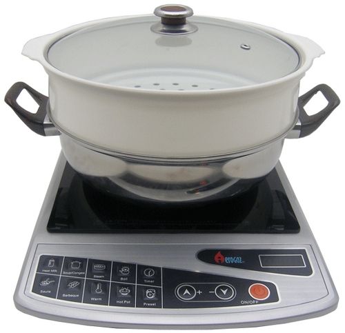 Induction Cooker