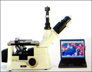 Inverted Metallurgical Microscope