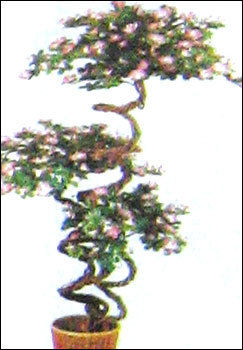 Azalea Tree
