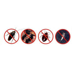 Disinfestation Service/Bed Bugs Control Service By Integrated Pest Management Services