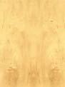 Hard Maple Plywood