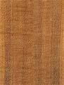 Silky Oak Plywood