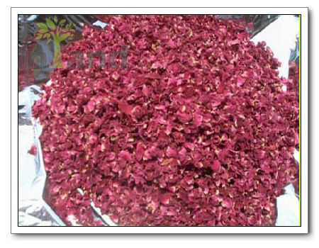 Dried Rose Petals