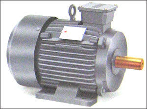 Electric Motor