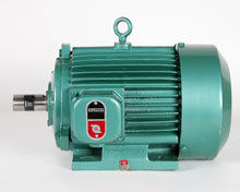 Newtron Induction Motors