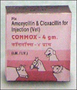 Conmox Ampicillin & Cloxacillin Injection