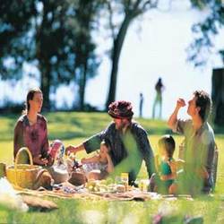 Short Picnics & Tours By Insearch Outdoors
