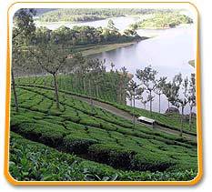 Kerala Honeymoon Package By The Travel Planet