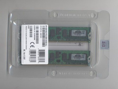 4GB ECC DDR2 RAM