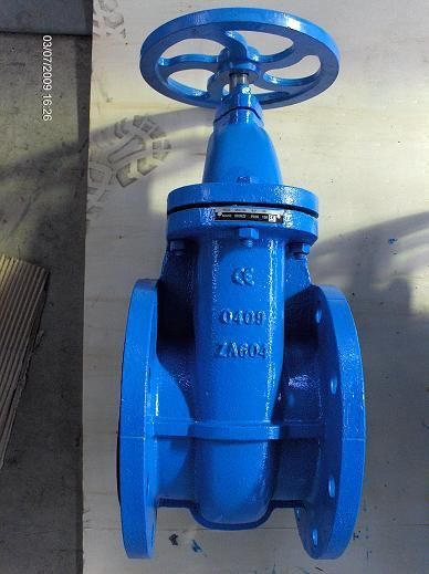 Cast Iron Gate Valve