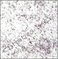 Viscon White Granite