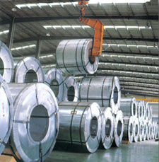 Colored Steel Coil