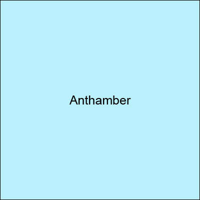 Anthamber