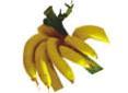 Banana Pulp - Brix 16 Min, Acidity 0.4% Min, OSS White Color | Rich in Vitamins, Available in Various Flavours for All Ages