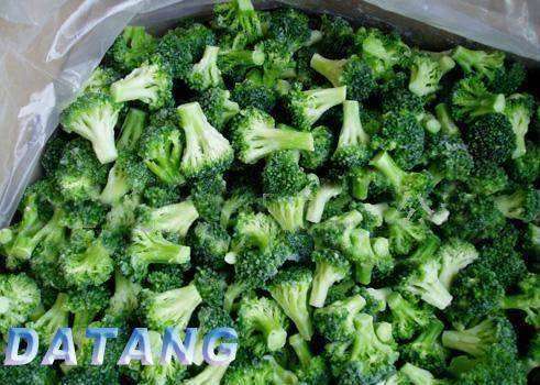 Frozen Broccoli - 2-6cm Sizes | Hygienically Packed, Preserving Fresh Taste and Nutritional Value