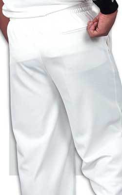 SS Maximus cricket pant  Where passion for cricket never stops
