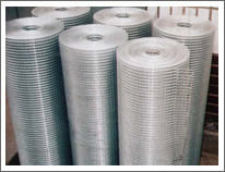 Welded Wire Mesh