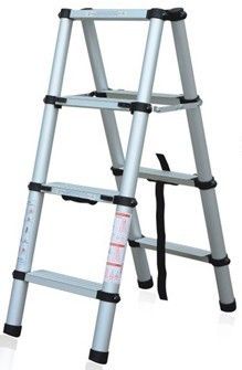 Dual Ladder