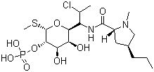 Clindamycin Phosphate