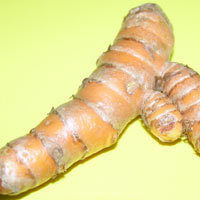 Turmeric Fingers