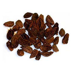 Black Cardamom Seeds - Pure Natural Aroma | Ideal for Culinary and Medicinal Uses, Quality Freshness Preservation