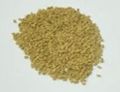 Fenugreek Seeds