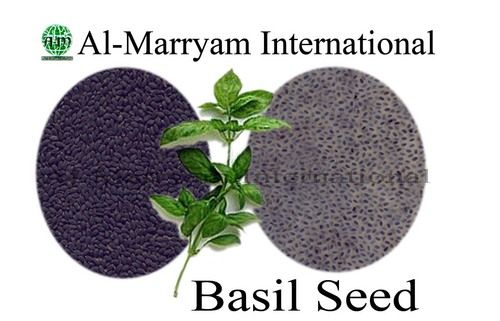 Basil Seeds In Hyderabad Sind At Best Price Basil Seeds