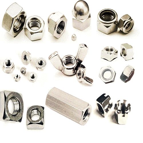 Ningbo BeiTong Stainless Steel Nuts