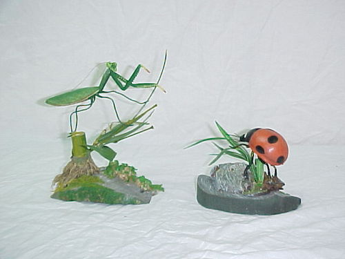 Praying Mantis & Beetle Art Carving