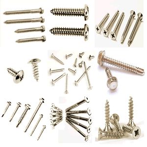 Stainless Steel Screws