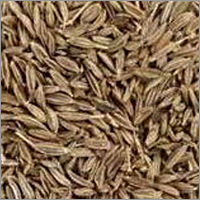 Cumin Seed