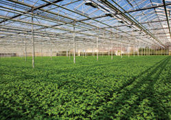 Agriculture & Horticulture Consultancy Service