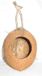 Coconut Bird Feeder