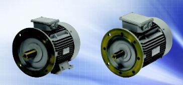 Squirrel Cage Induction Motors