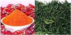 Red Chillies