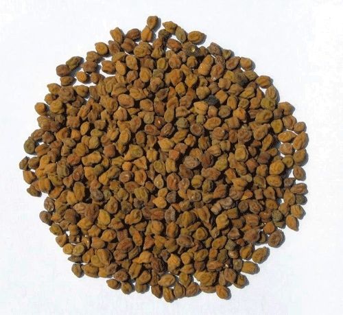 Black Kabuli Channa