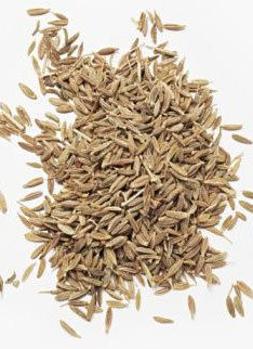 Celery Seed