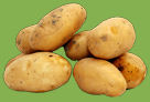 Fresh Potatoes